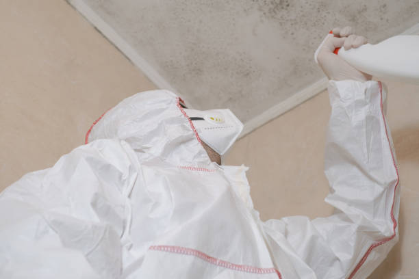 Best Mold Remediation for Specific Building Types in Newmanstown, PA
